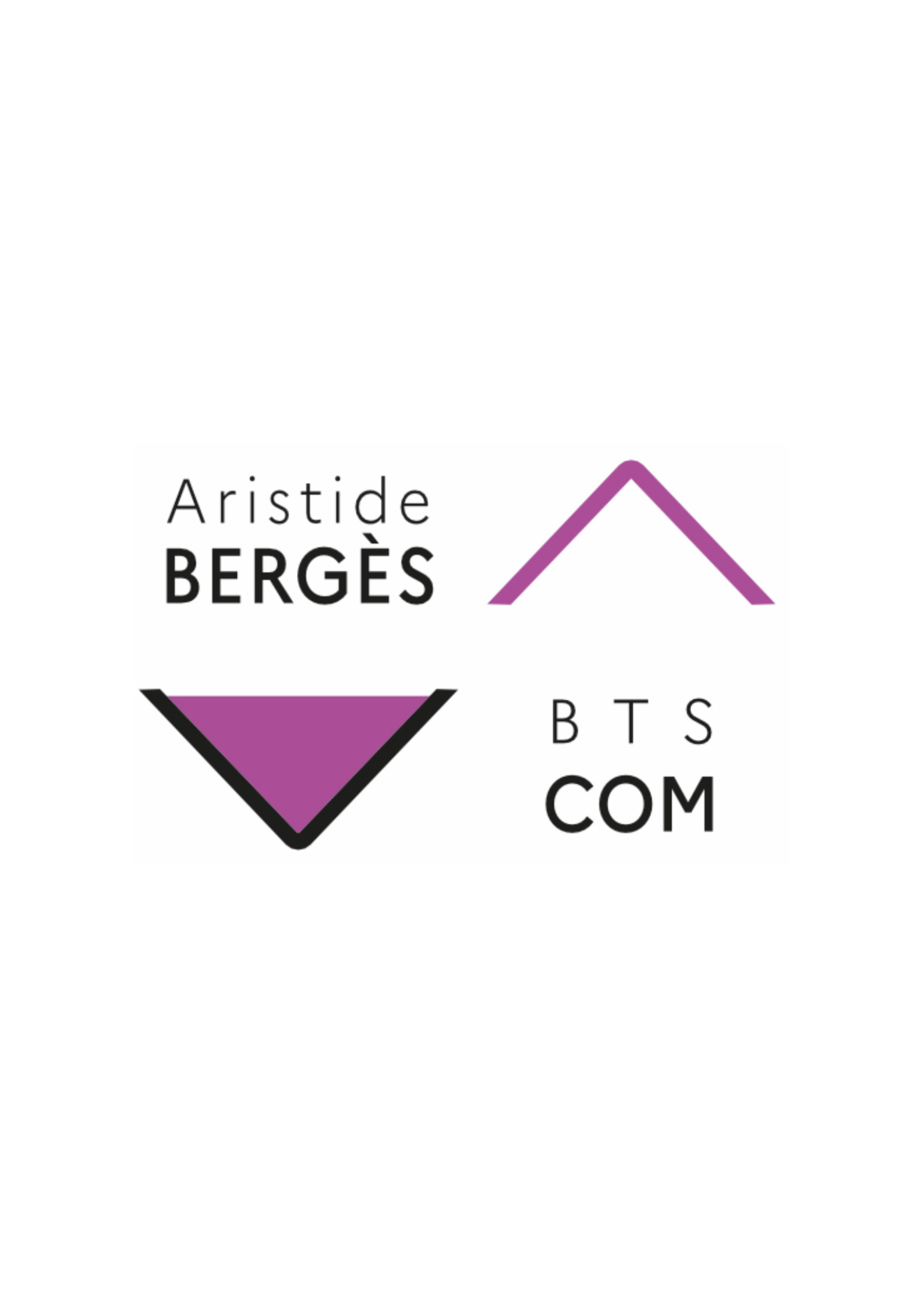 Gestion réseaux sociaux BTS COM